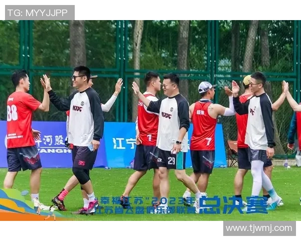 南京飞盘队与武汉飞盘队实力对比赛后分析与总结