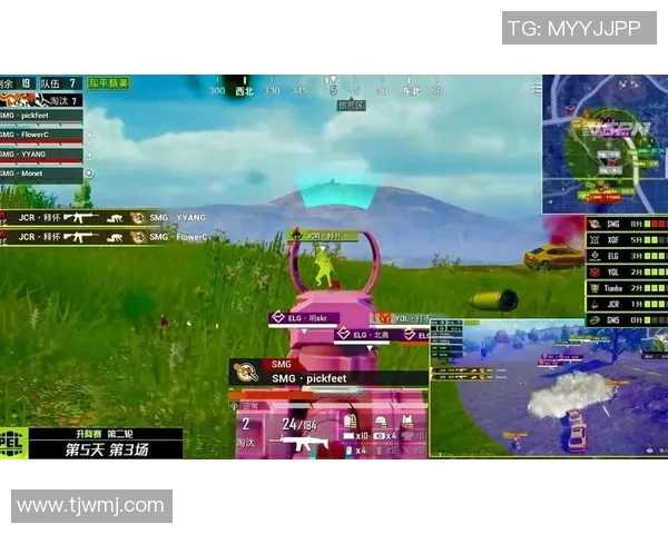 和平精英巨献：深入解析TES团队的技术创新与游戏优化之路