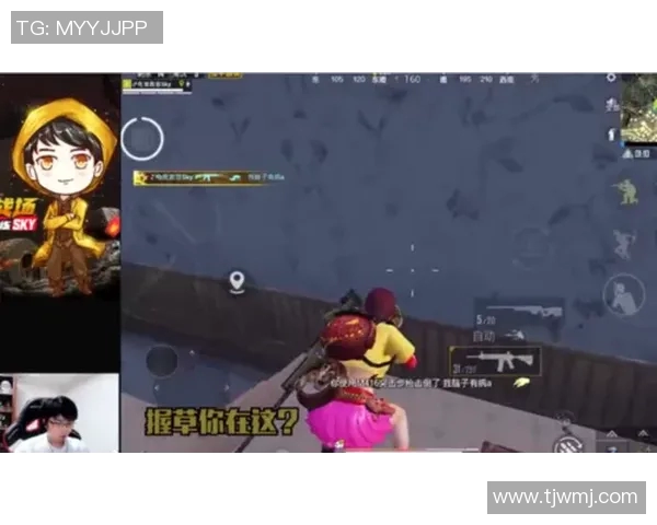 和平精英战术分析：深度解读TES战队的进攻策略与表现