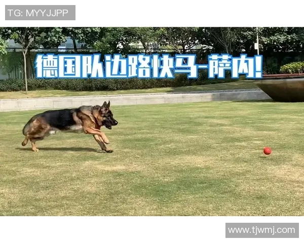 武汉飞盘队边路渗透分析：优劣势与战术调整探讨