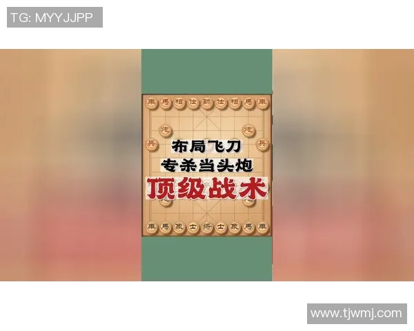 深入分析TES阵地战策略与战术布局的成功之道