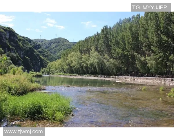 吉达州与吉兰丹州的文化风情与旅游魅力全方位对比分析