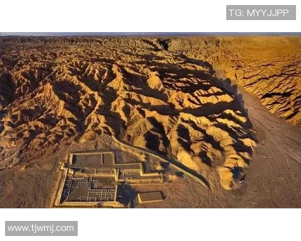 布莱克尼的传奇旅程探索历史与文化交融的魅力与启示 布莱克尼的传奇旅程探索历史与文化交融的魅力与启示