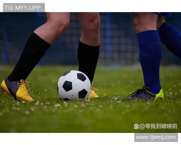 浦项钢铁迎战大邱FC激烈对决引发球迷热情期待