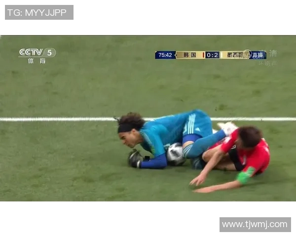 2018年世界杯墨西哥对阵韩国全场比赛数据分析与战术解读 2018年世界杯墨西哥对阵韩国全场比赛数据分析与战术解读