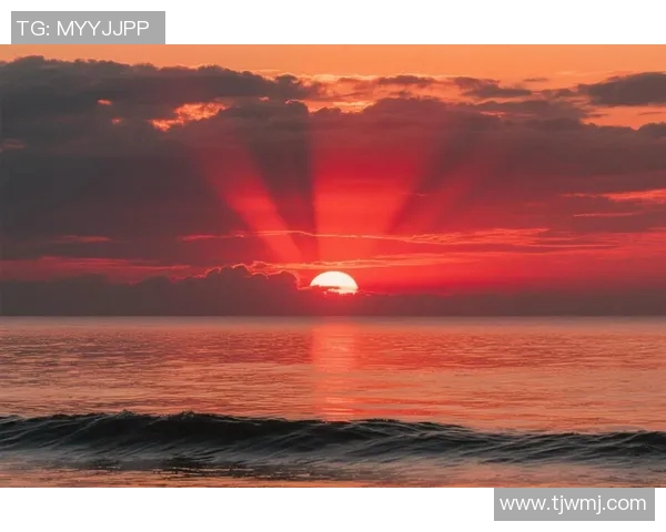 史鸿飞：从平凡到卓越的奋斗之路与人生启示